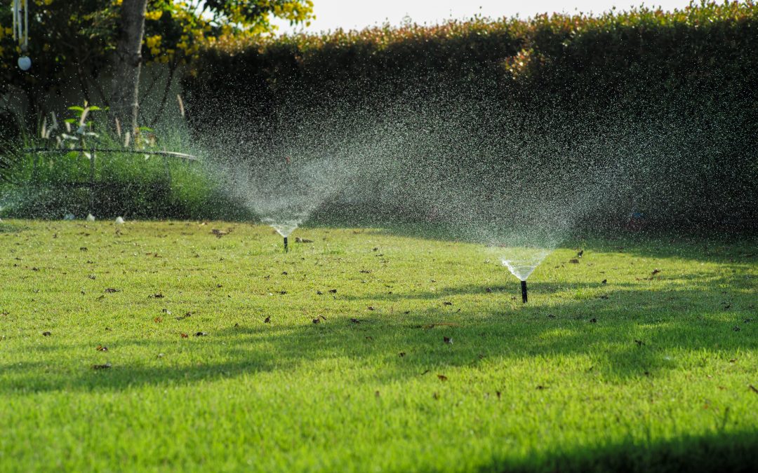 5 Signs Your Sprinkler System Is Wasting Water (And How to Fix Them)